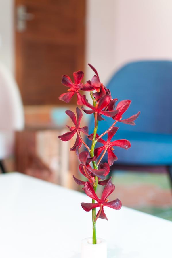 Hotel Morgana By Iter Sensibus Playa del Carmen Zewnętrze zdjęcie