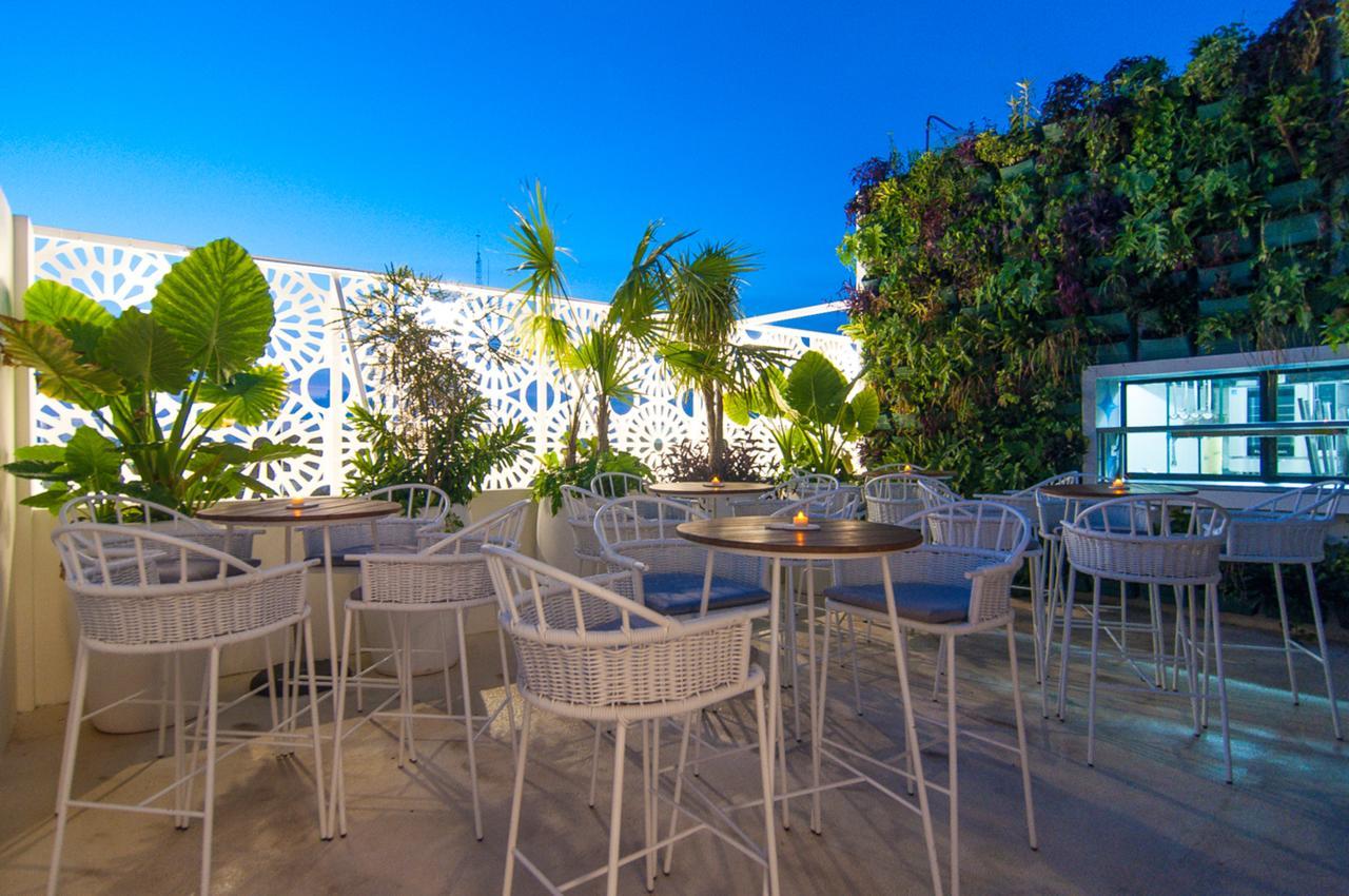 Hotel Morgana By Iter Sensibus Playa del Carmen Zewnętrze zdjęcie